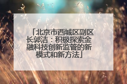 北京市西城区副区长郭洁：积极探索金融科技创新监管的新模式和新方法