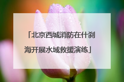 北京西城消防在什刹海开展水域救援演练