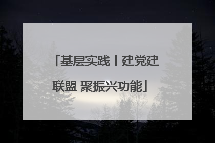 基层实践丨建党建联盟 聚振兴功能
