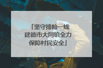 坚守排险一线 建德市大同镇全力保障村民安全