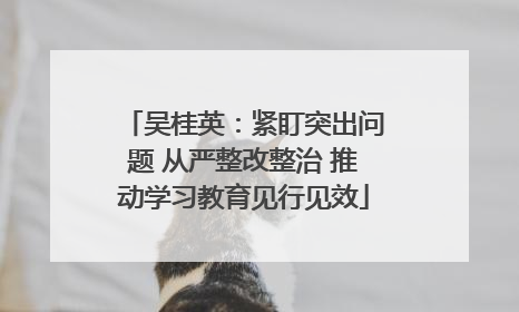 吴桂英：紧盯突出问题 从严整改整治 推动学习教育见行见效