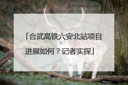 合武高铁六安北站项目进展如何？记者实探