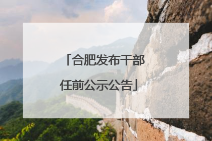 合肥发布干部任前公示公告