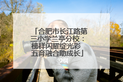 合肥市长江路第三小学兰亭分校：榜样闪耀绽光彩 五育融合助成长