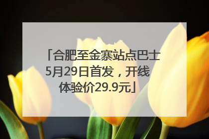 合肥至金寨站点巴士5月29日首发，开线体验价29.9元