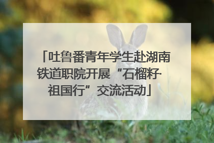 吐鲁番青年学生赴湖南铁道职院开展“石榴籽·祖国行”交流活动