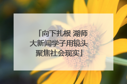 向下扎根 湖师大新闻学子用镜头聚焦社会现实
