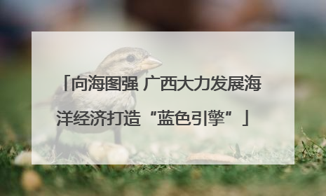 向海图强 广西大力发展海洋经济打造“蓝色引擎”