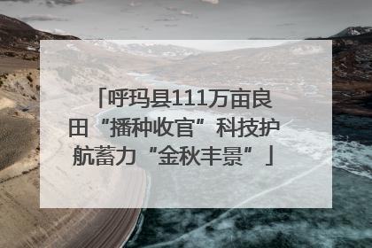 呼玛县111万亩良田“播种收官”科技护航蓄力“金秋丰景”