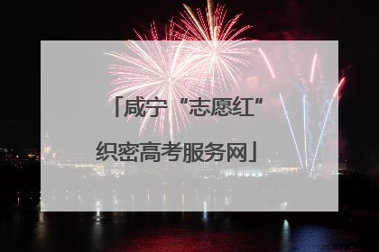 咸宁“志愿红”织密高考服务网