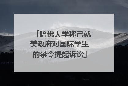 哈佛大学称已就美政府对国际学生的禁令提起诉讼