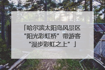 哈尔滨太阳岛风景区“阳光彩虹桥”带游客“漫步彩虹之上”