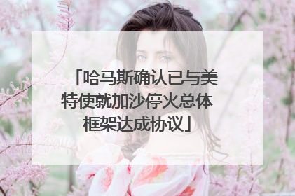 哈马斯确认已与美特使就加沙停火总体框架达成协议