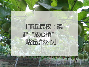 商丘民权：架起“放心桥” 贴近群众心