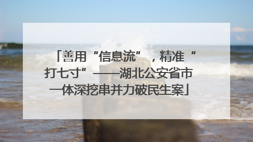 善用“信息流”，精准“打七寸”——湖北公安省市一体深挖串并力破民生案