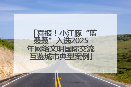 喜报！小江豚“蓝叒叒”入选2025年网络文明国际交流互鉴城市典型案例