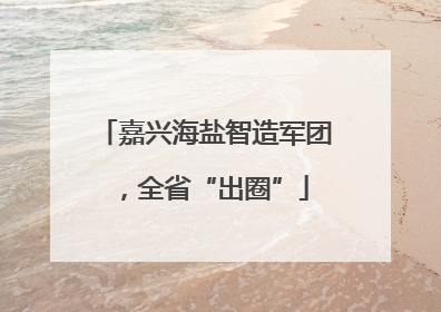 嘉兴海盐智造军团，全省“出圈”
