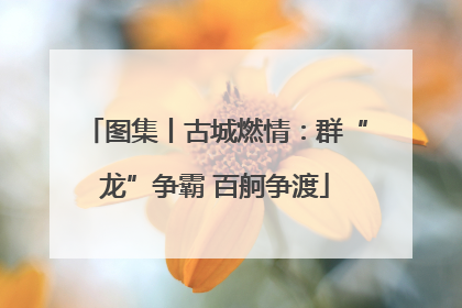 图集丨古城燃情：群“龙”争霸 百舸争渡