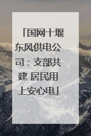 国网十堰东风供电公司：支部共建 居民用上安心电