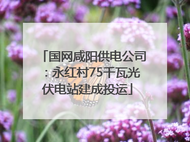 国网咸阳供电公司：永红村75千瓦光伏电站建成投运