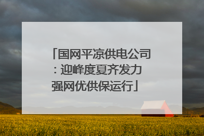 国网平凉供电公司：迎峰度夏齐发力 强网优供保运行
