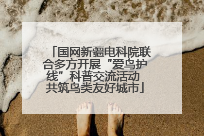 国网新疆电科院联合多方开展“爱鸟护线”科普交流活动 共筑鸟类友好城市