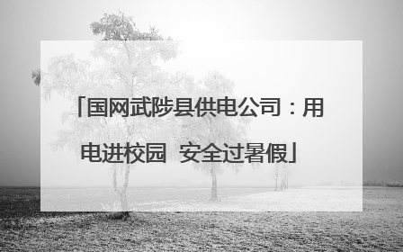 国网武陟县供电公司：用电进校园  安全过暑假