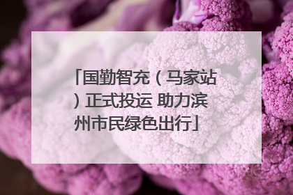 国勤智充（马家站）正式投运 助力滨州市民绿色出行