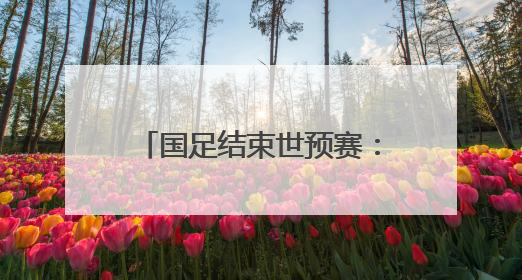 国足结束世预赛：老帅伊万去向仍待定，重庆主场氛围惊到“退钱哥”