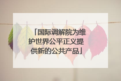 国际调解院为维护世界公平正义提供新的公共产品