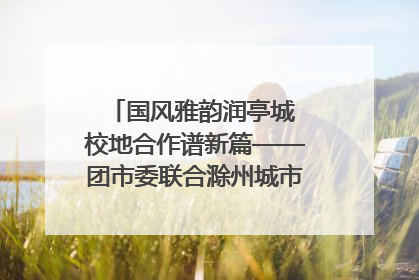 国风雅韵润亭城 校地合作谱新篇——团市委联合滁州城市职业学院助力传统文化“破圈”绽放