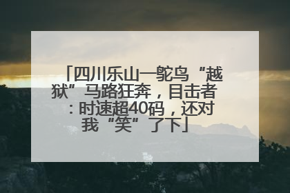 四川乐山一鸵鸟“越狱”马路狂奔，目击者：时速超40码，还对我“笑”了下