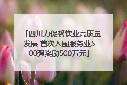 四川力促餐饮业高质量发展 首次入围服务业500强奖励500万元