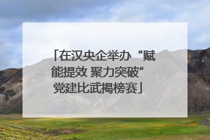 在汉央企举办“赋能提效 聚力突破”党建比武揭榜赛