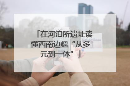 在河泊所遗址读懂西南边疆“从多元到一体”