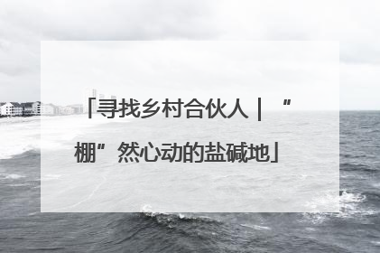 寻找乡村合伙人｜“棚”然心动的盐碱地