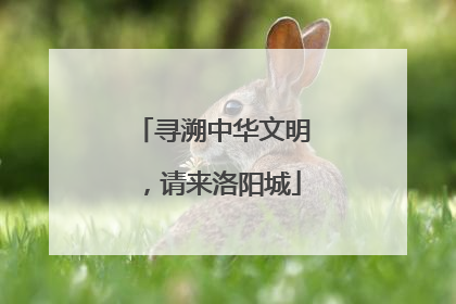 寻溯中华文明，请来洛阳城