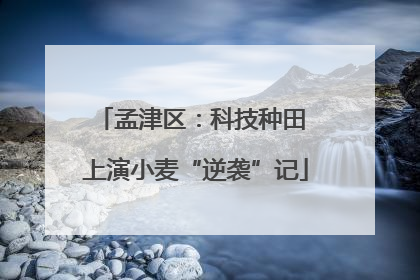 孟津区：科技种田 上演小麦“逆袭”记