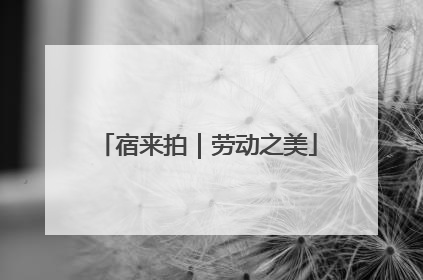 宿来拍｜劳动之美