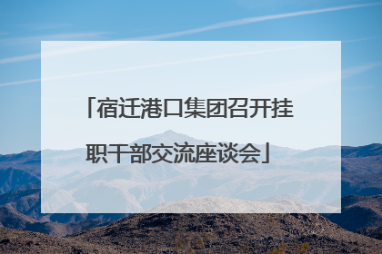 宿迁港口集团召开挂职干部交流座谈会
