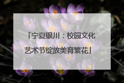 宁夏银川：校园文化艺术节绽放美育繁花