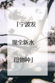 宁波发现全新水母物种