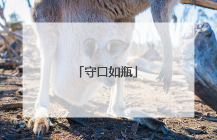 守口如瓶