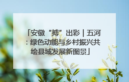 安徽“搏”出彩｜五河：绿色动能与乡村振兴共绘县域发展新图景