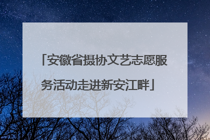 安徽省摄协文艺志愿服务活动走进新安江畔