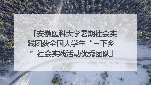 安徽医科大学暑期社会实践团获全国大学生“三下乡”社会实践活动优秀团队
