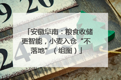 安徽阜南：粮食收储更智能，小麦入仓“不落地”（组图）