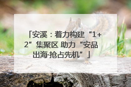 安溪：着力构建“1+2”集聚区 助力“安品出海·抢占先机”