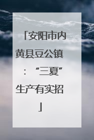 安阳市内黄县豆公镇：“三夏”生产有实招