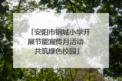 安阳市钢城小学开展节能宣传月活动 共筑绿色校园